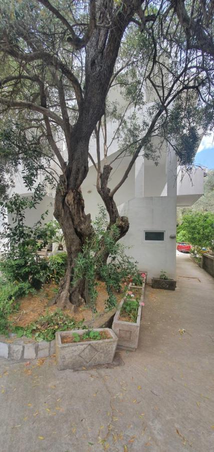 Guest House Mia Бечичи Экстерьер фото